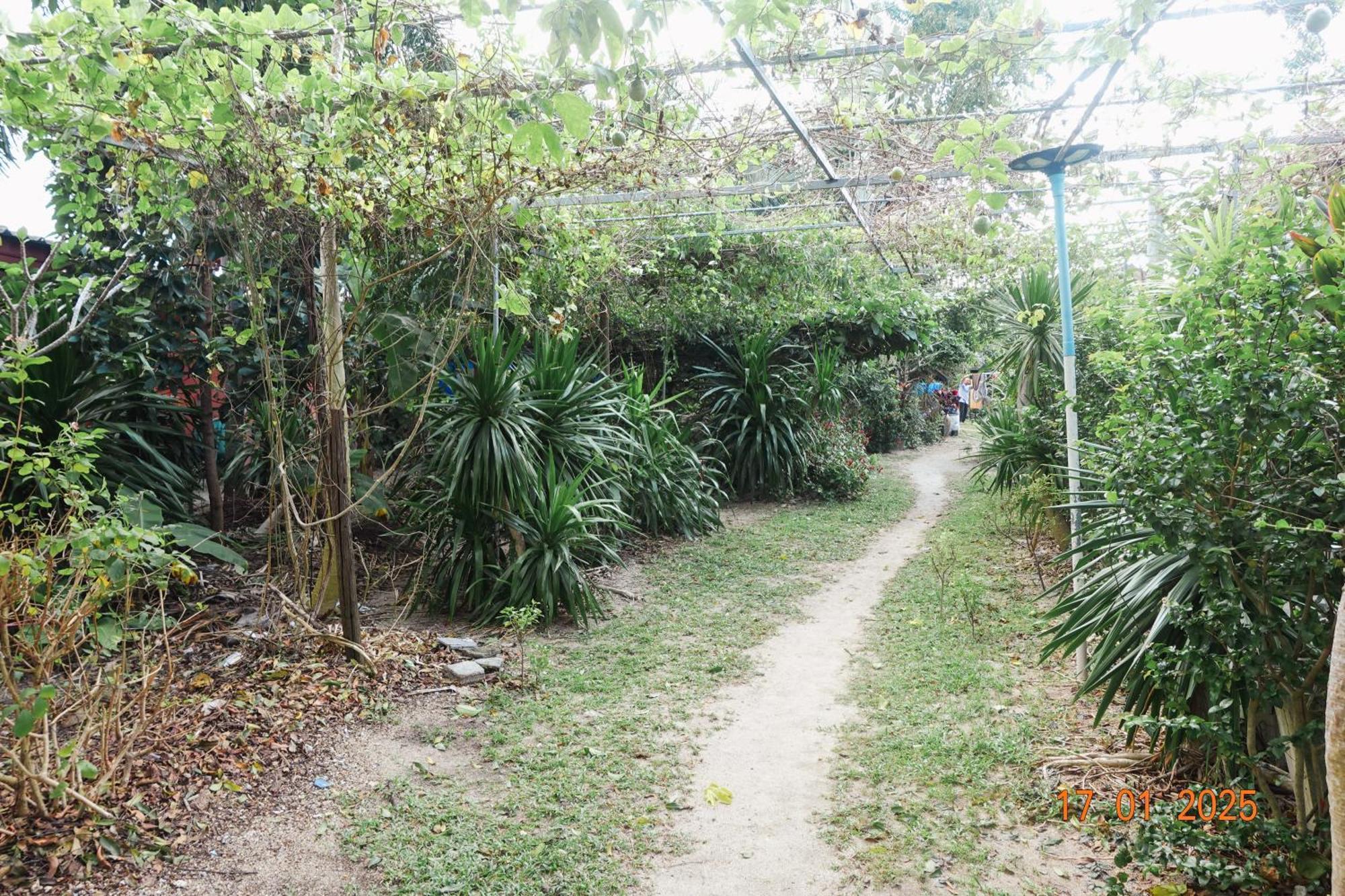 Subsavet Village Ko Pha Ngan Exterior foto
