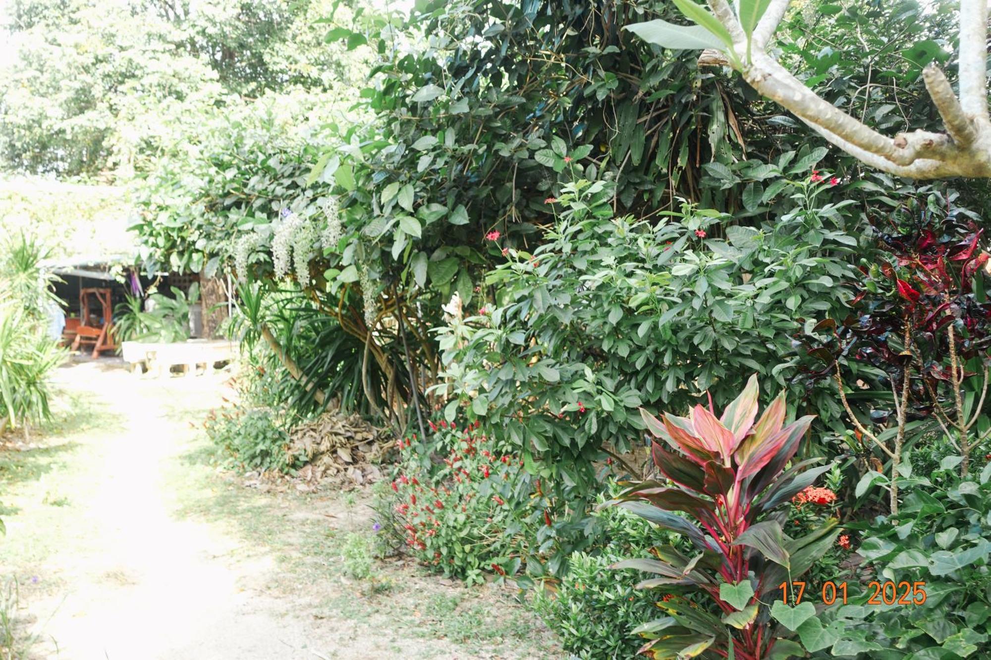 Subsavet Village Ko Pha Ngan Exterior foto